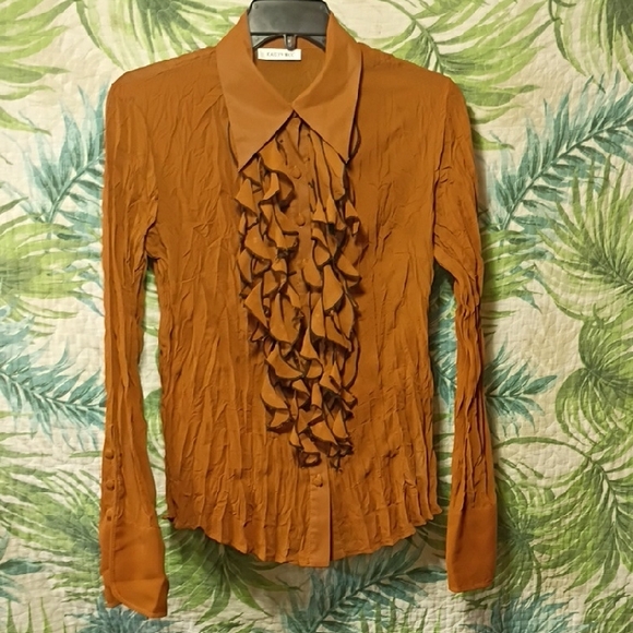 Chic Rust Ruffle Front Blouse - Picture 1 of 6